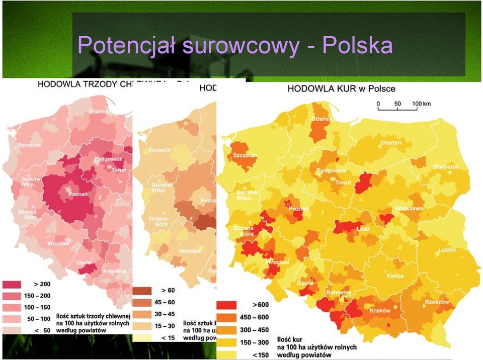 - Polska