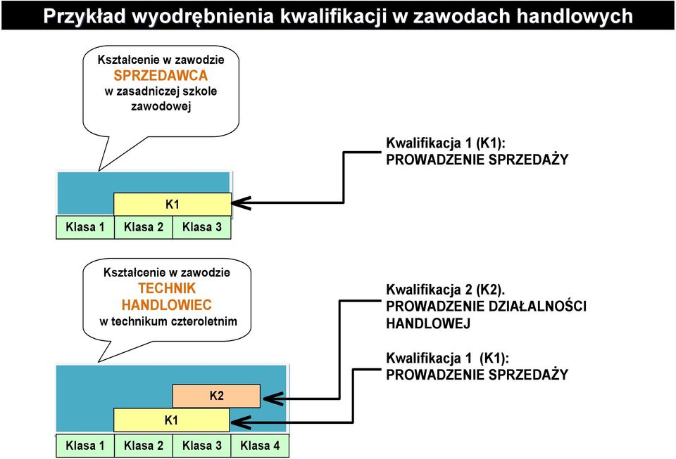 Kształcenie w zawodzie TECHNIK HANDLOWIEC w technikum czteroletnim K2 Kwalifikacja 2 (K2).