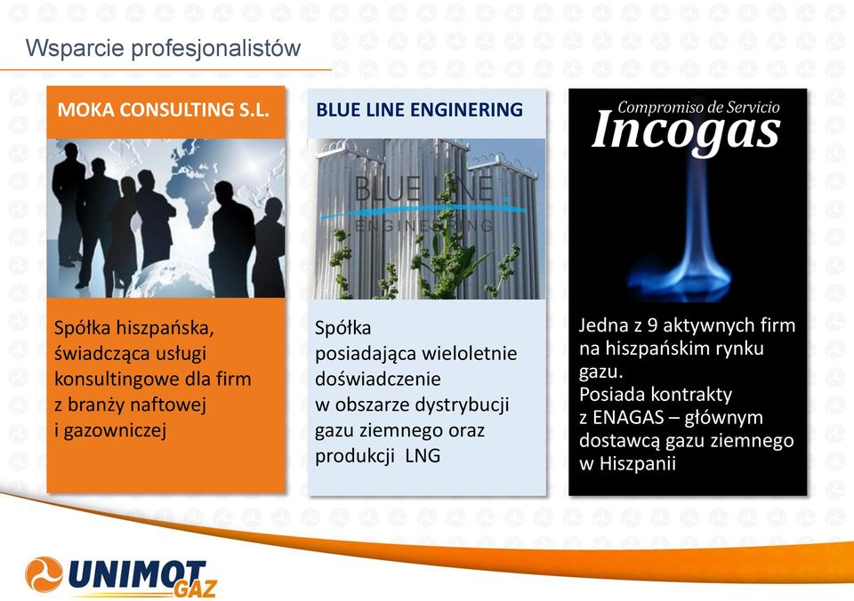 BLUE LINE ENGINERING Spółka hiszpańska, świadcząca usługi konsultingowe dla firm z branży naftowej i gazowniczej Spółka