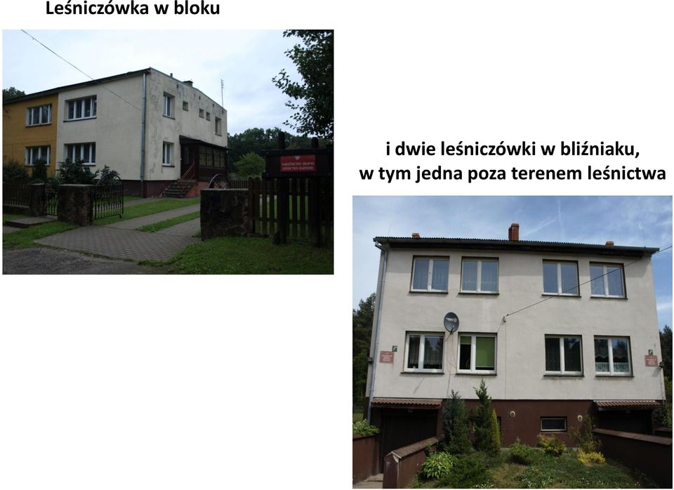 bliźniaku, w tym