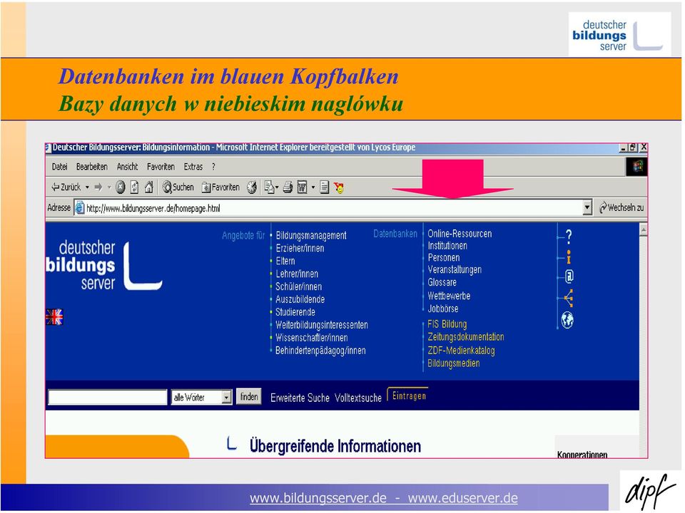 Kopfbalken Bazy