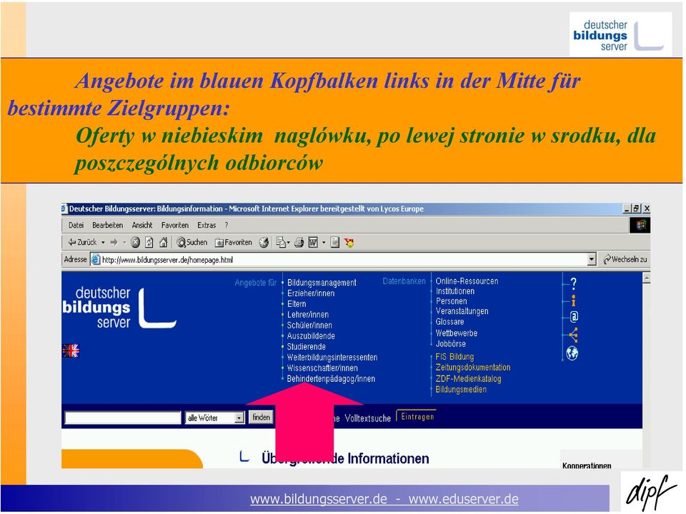 Oferty w niebieskim naglówku, po lewej