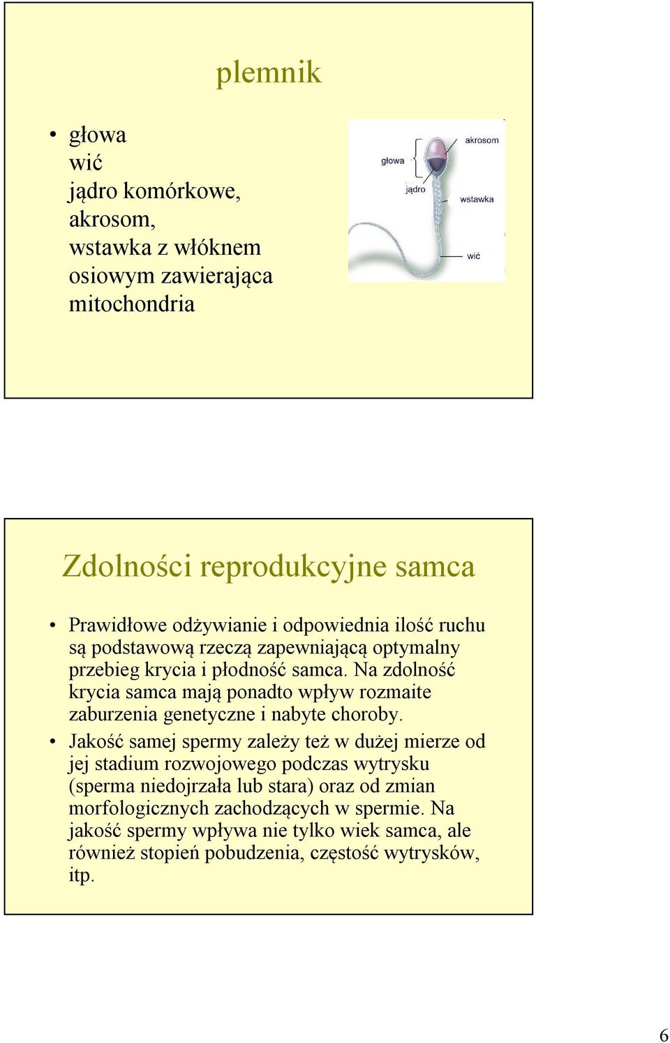 Na zdolność krycia samca mają ponadto wpływ rozmaite zaburzenia genetyczne i nabyte choroby.