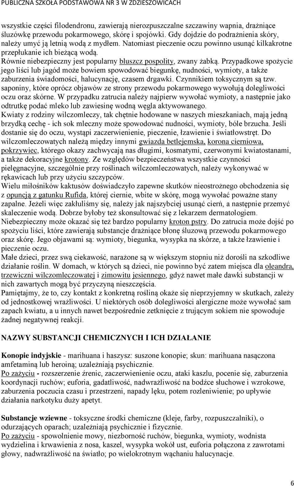 Równie niebezpieczny jest popularny bluszcz pospolity, zwany żabką.