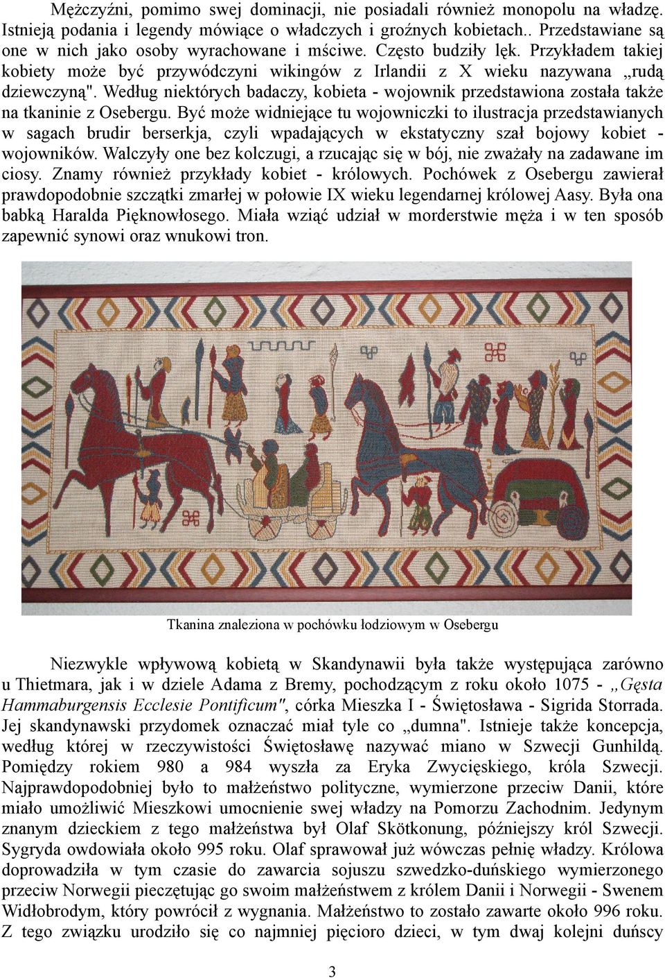 Według niektórych badaczy, kobieta - wojownik przedstawiona została także na tkaninie z Osebergu.