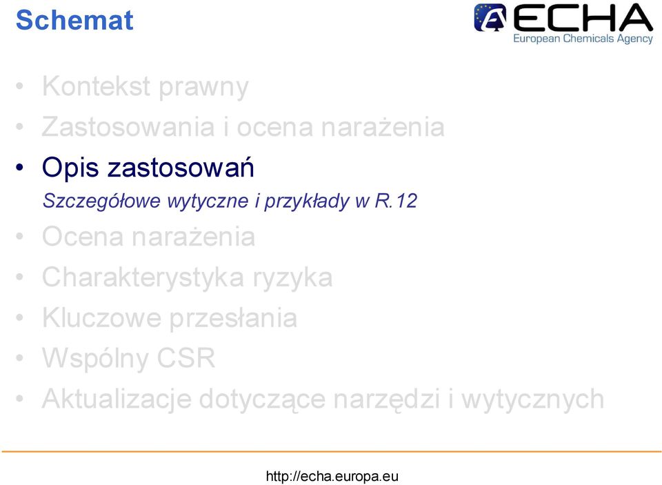 12 Ocena narażenia Charakterystyka ryzyka Kluczowe