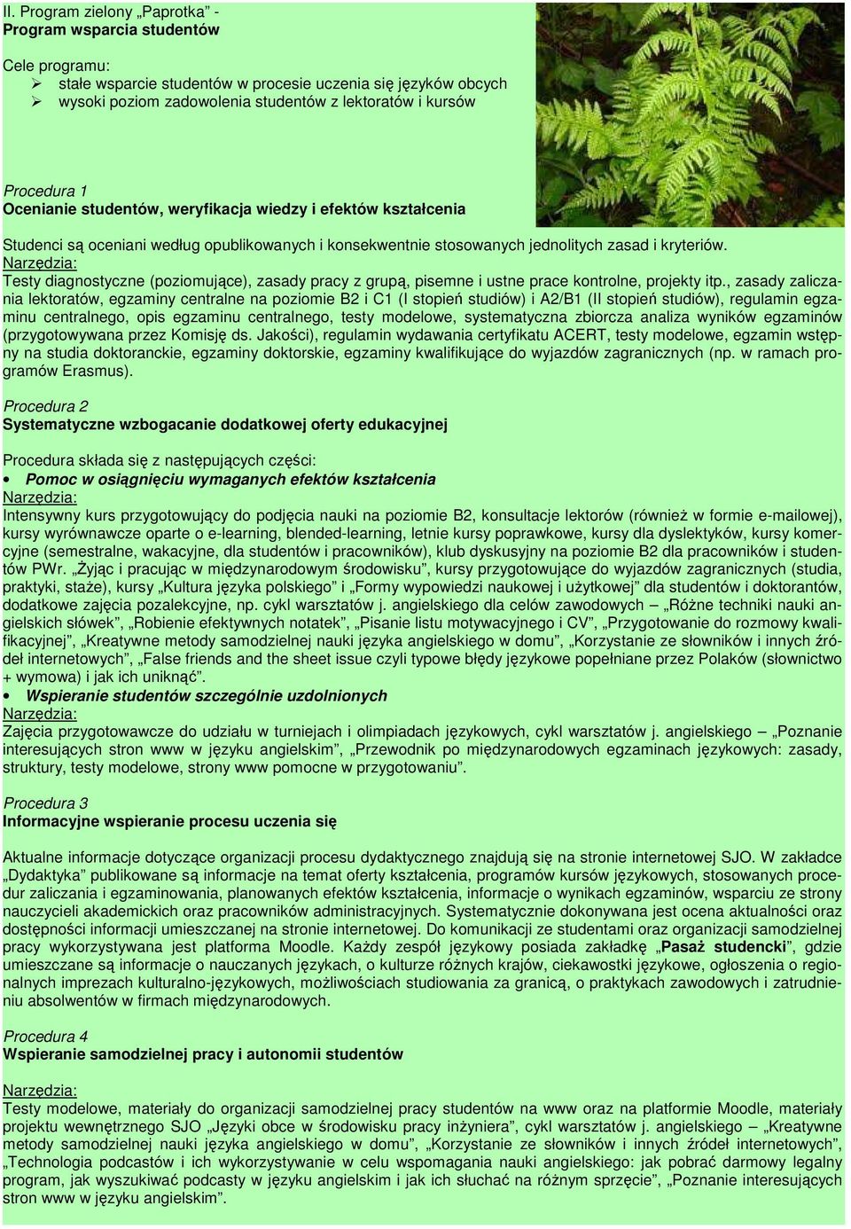 Testy diagnostyczne (poziomujące), zasady pracy z grupą, pisemne i ustne prace kontrolne, projekty itp.