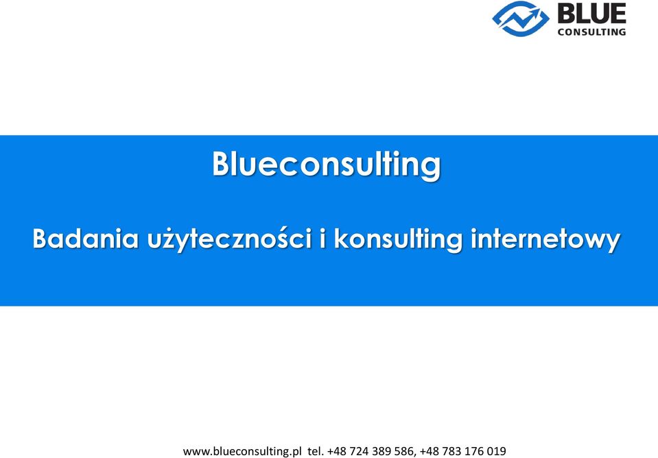 konsulting internetowy