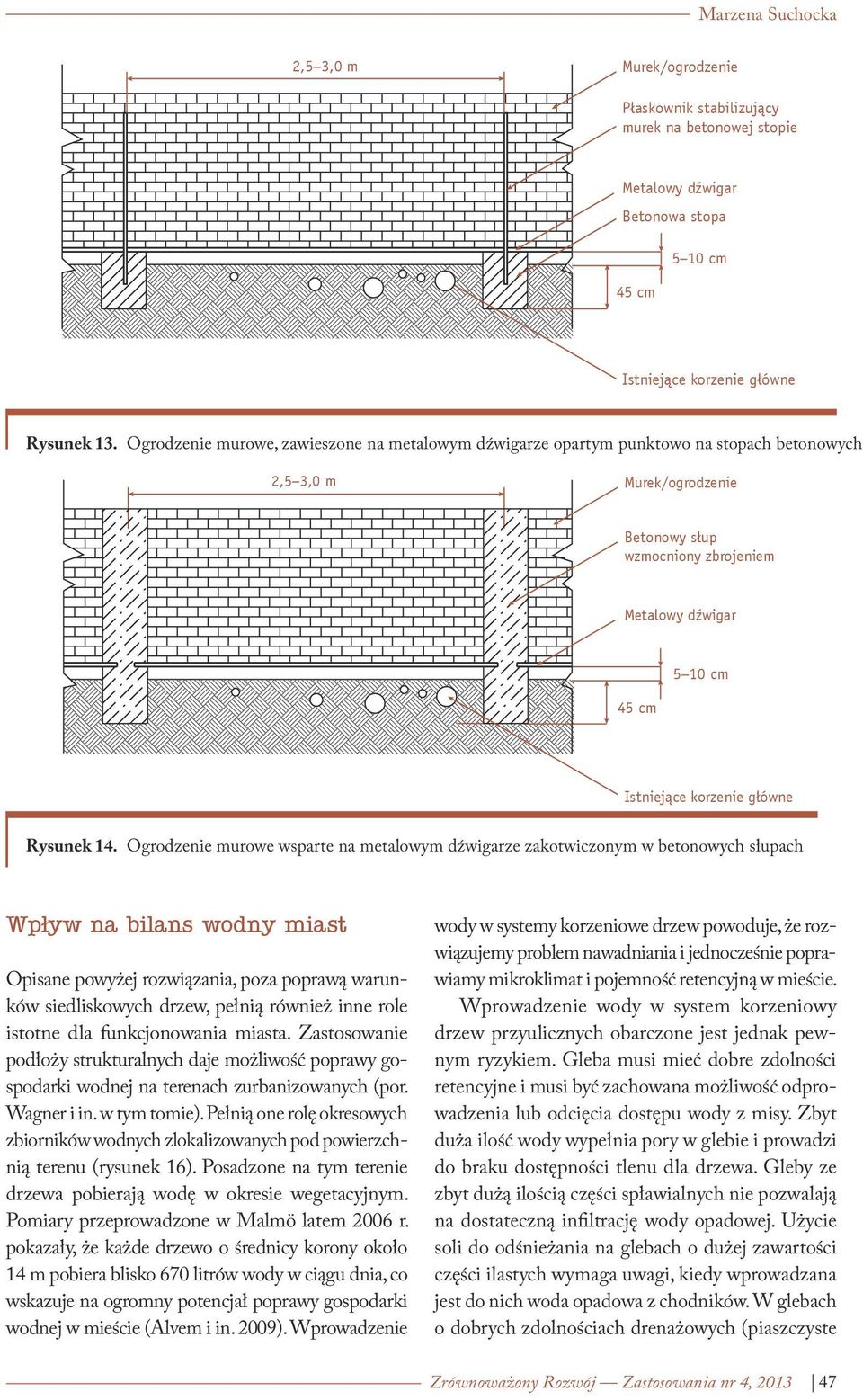 korzenie główne Rysunek 14.
