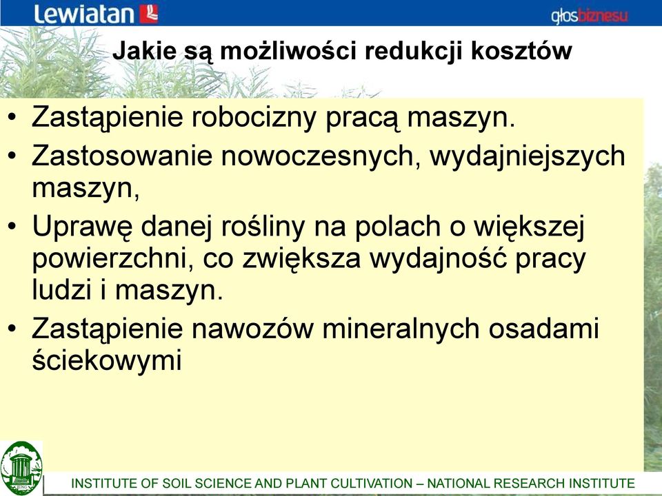 większej powierzchni, co zwiększa wydajność pracy ludzi i maszyn.