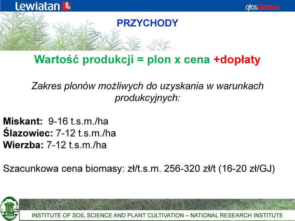 s.m./ha Szacunkowa cena biomasy: zł/t.s.m. 256-320 zł/t (16-20 zł/gj) INSTITUTE