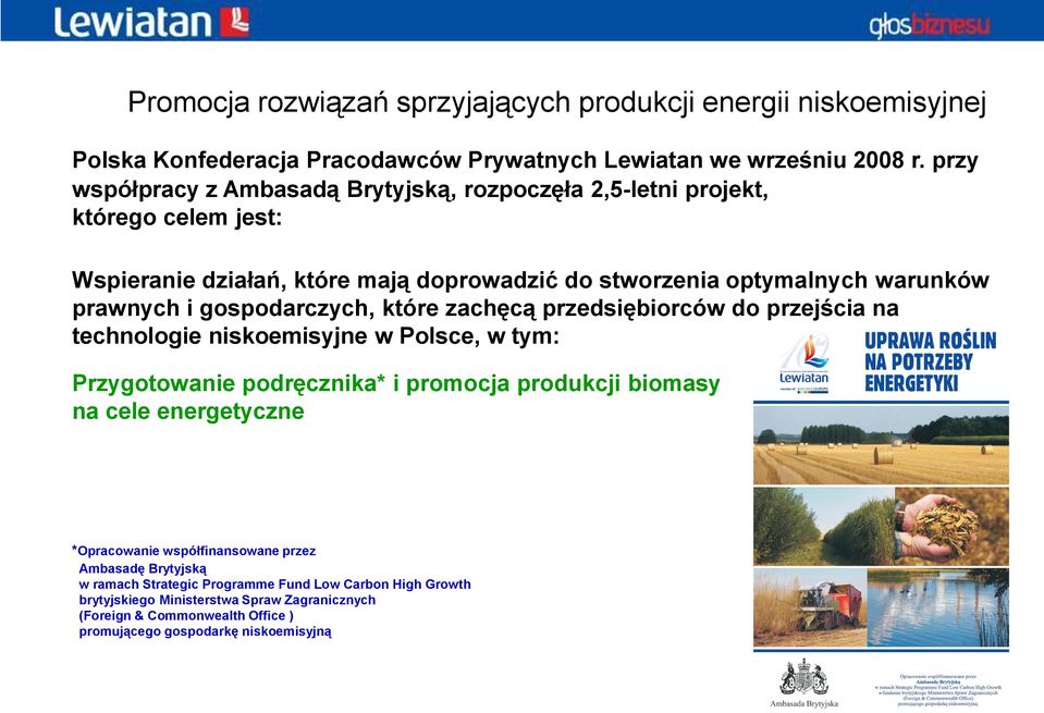 gospodarczych, które zachęcą przedsiębiorców do przejścia na technologie niskoemisyjne w Polsce, w tym: Przygotowanie podręcznika* i promocja produkcji biomasy na cele energetyczne