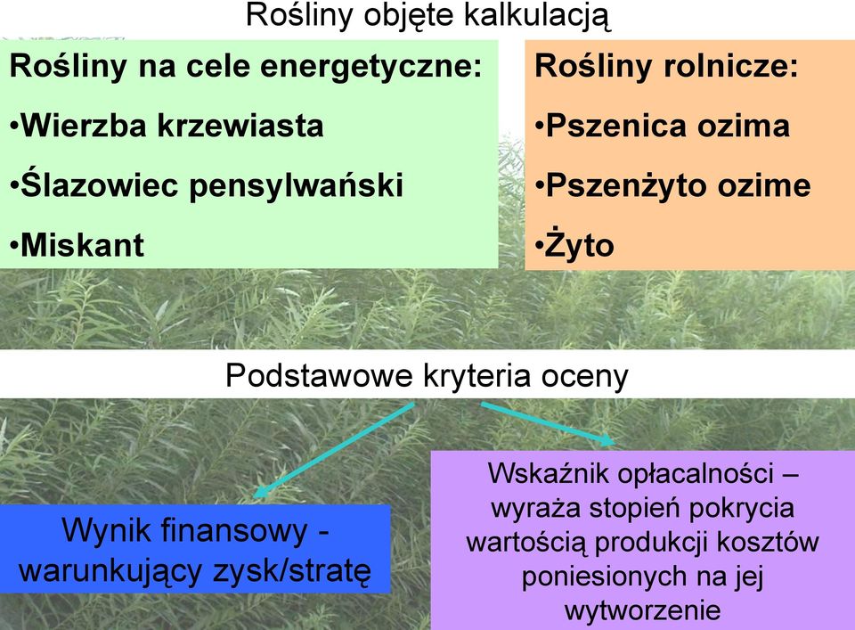 Podstawowe kryteria oceny Wynik finansowy - warunkujący zysk/stratę Wskaźnik