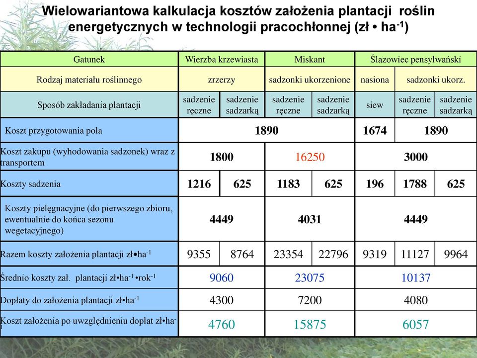 Sposób zakładania plantacji sadzenie ręczne sadzenie sadzarką sadzenie ręczne sadzenie sadzarką siew sadzenie ręczne Koszt przygotowania pola 1890 1674 1890 Koszt zakupu (wyhodowania sadzonek) wraz z