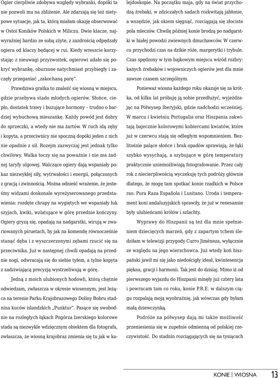 Kiedy wreszcie korzystając z nieuwagi przyzwoitek, ogierowi udało się pokryć wybrankę, oburzone natychmiast przybiegły i zaczęły przeganiać zakochaną parę.