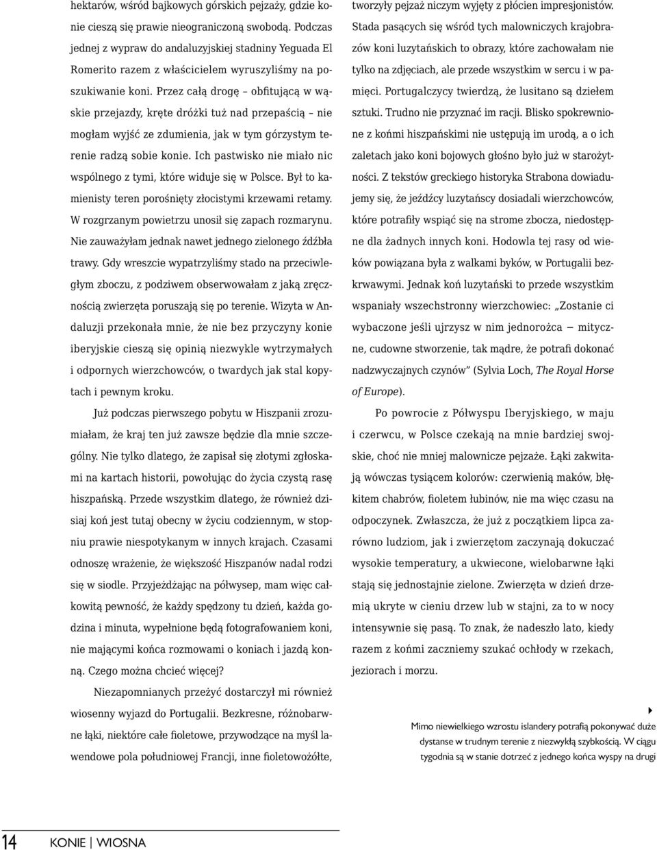 Przez całą drogę obfitującą w wąskie przejazdy, kręte dróżki tuż nad przepaścią nie mogłam wyjść ze zdumienia, jak w tym górzystym terenie radzą sobie konie.
