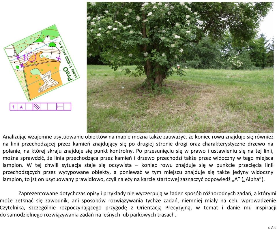 Po przesunięciu się w prawo i ustawieniu się na tej linii, można sprawdzić, że linia przechodząca przez kamień i drzewo przechodzi także przez widoczny w tego miejsca lampion.