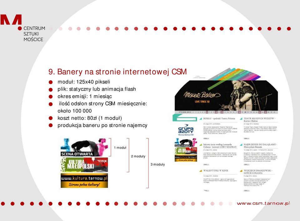 odsłon strony CSM miesięcznie: około 100 000 koszt netto: 80zł