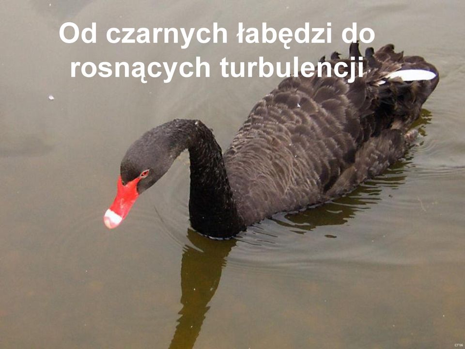 10 Akademia