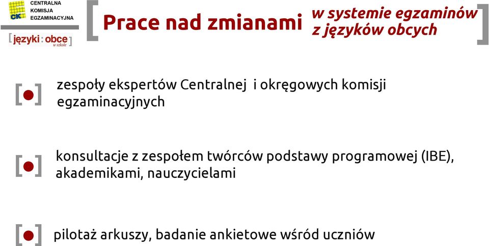 konsultacje z zespołem twórców podstawy programowej (IBE),