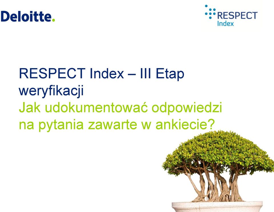 udokumentować