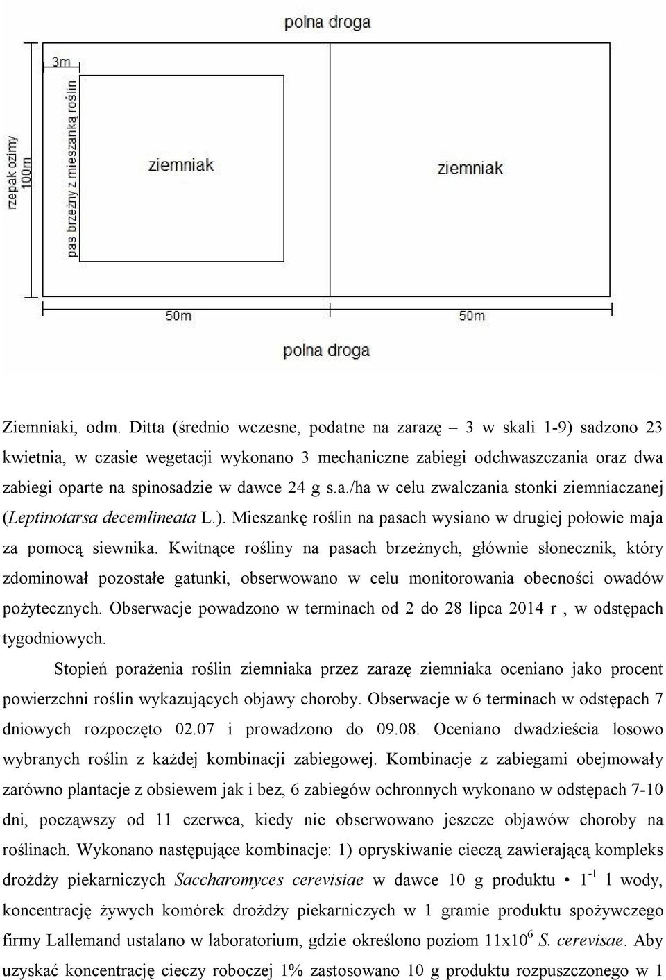 ). Mieszankę roślin na pasach wysiano w drugiej połowie maja za pomocą siewnika.