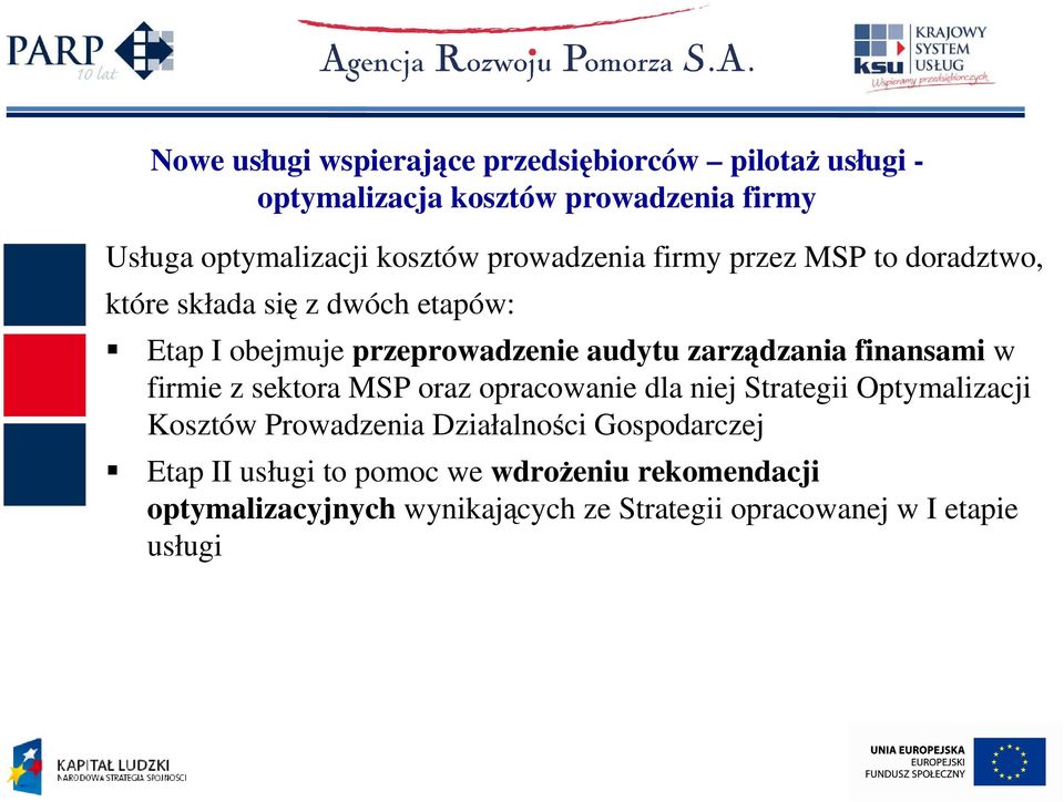finansami w firmie z sektora MSP oraz opracowanie dla niej Strategii Optymalizacji Kosztów Prowadzenia Działalności