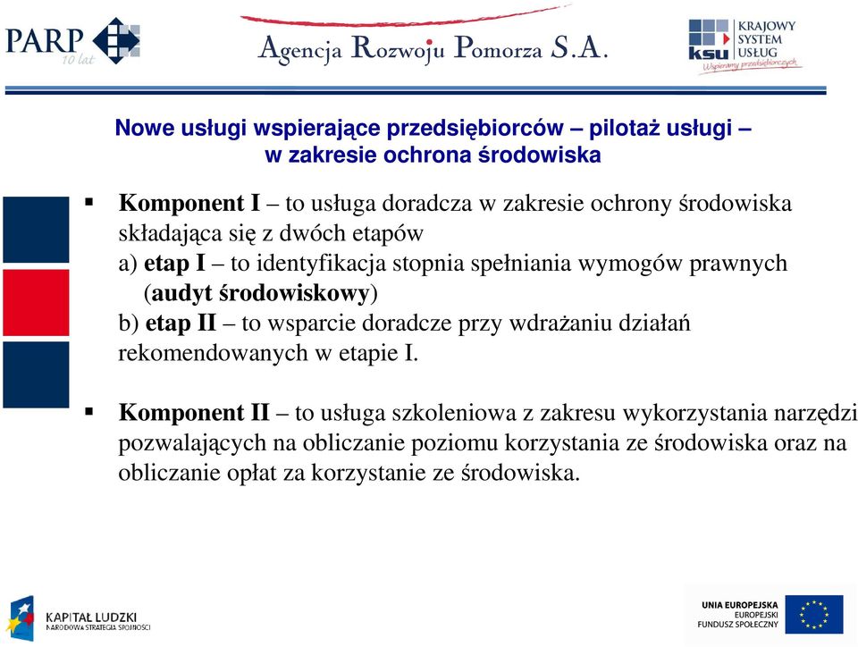 środowiskowy) b) etap II to wsparcie doradcze przy wdraŝaniu działań rekomendowanych w etapie I.