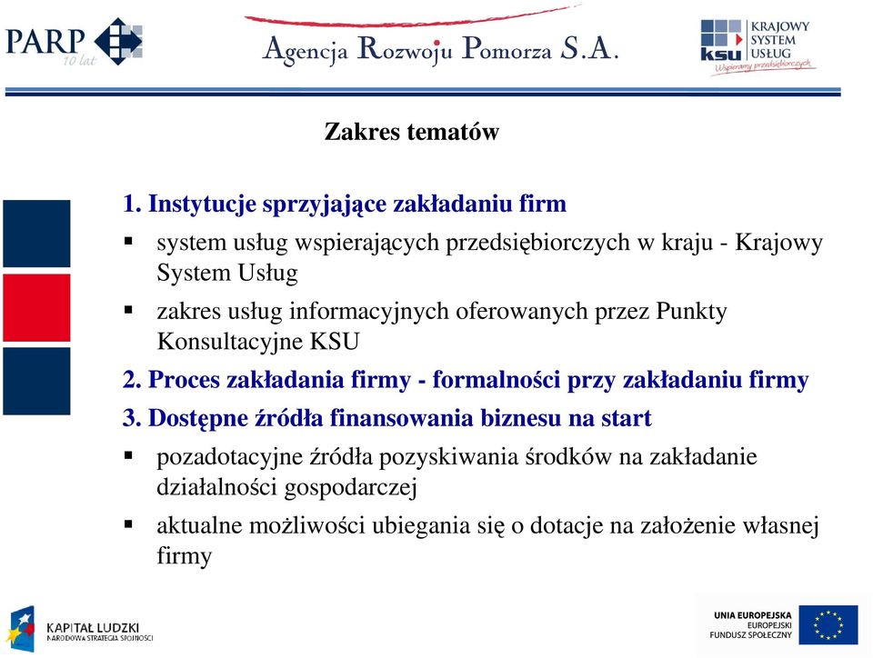 zakres usług informacyjnych oferowanych przez Punkty Konsultacyjne KSU 2.