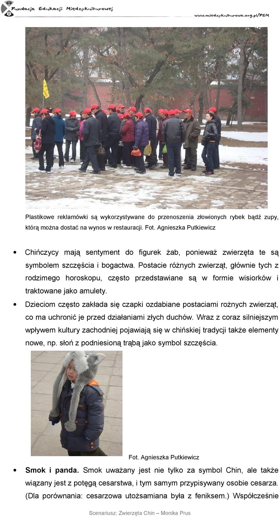 Postacie różnych zwierząt, głównie tych z rodzimego horoskopu, często przedstawiane są w formie wisiorków i traktowane jako amulety.