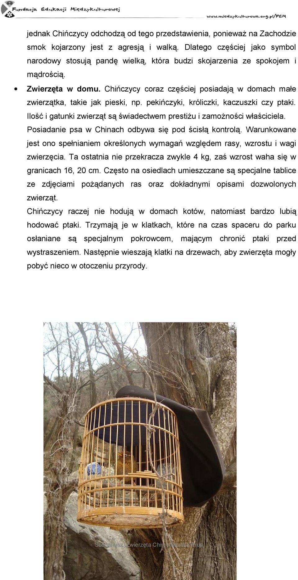 Chińczycy coraz częściej posiadają w domach małe zwierzątka, takie jak pieski, np. pekińczyki, króliczki, kaczuszki czy ptaki.
