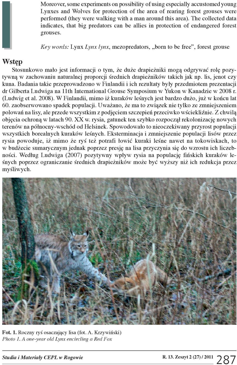 Key words: Lynx Lynx lynx, mezopredators, born to be free, forest grouse Wstêp Stosunkowo ma³o jest informacji o tym, e du e drapie niki mog¹ odgrywaæ rolê pozytywn¹ w zachowaniu naturalnej proporcji