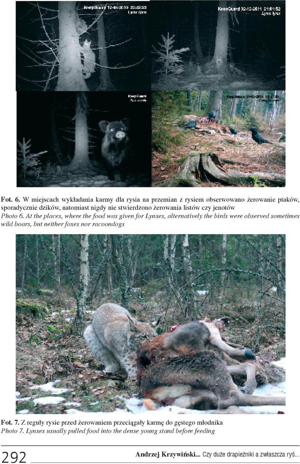 nigdy nie stwierdzono erowania listów czy jenotów Photo 6.