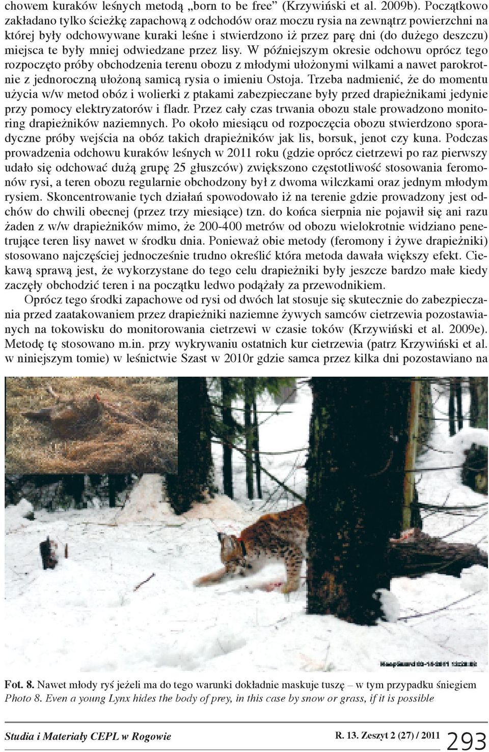 by³y mniej odwiedzane przez lisy.