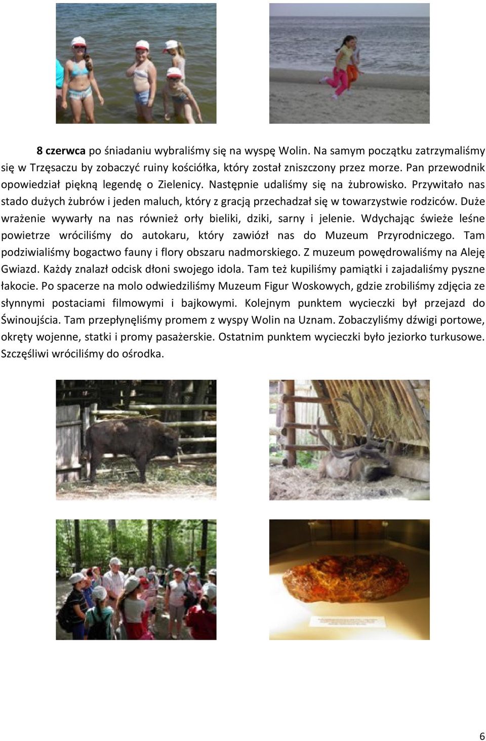 Duże wrażenie wywarły na nas również orły bieliki, dziki, sarny i jelenie. Wdychając świeże leśne powietrze wróciliśmy do autokaru, który zawiózł nas do Muzeum Przyrodniczego.