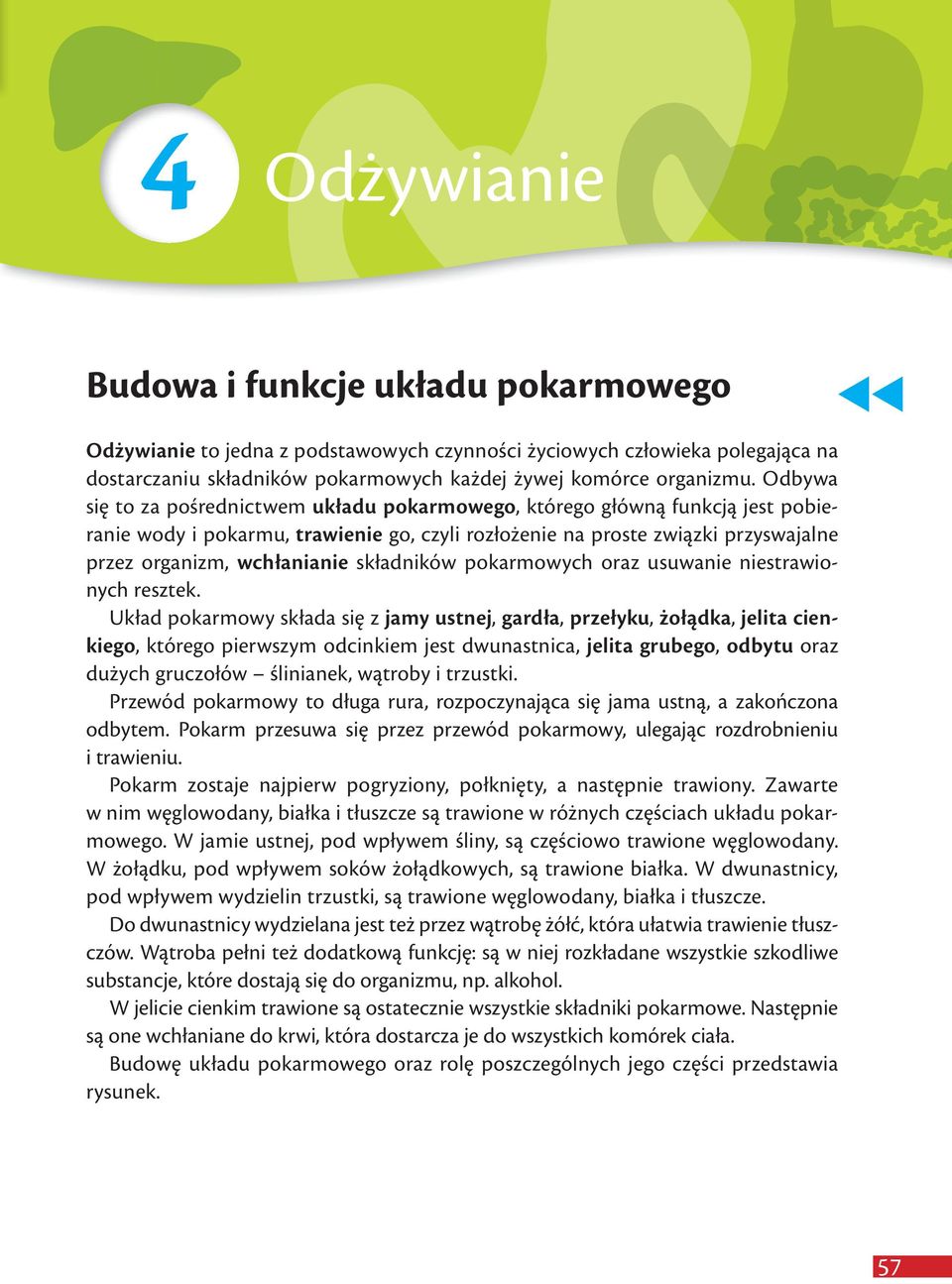 składników pokarmowych oraz usuwanie niestrawionych resztek.