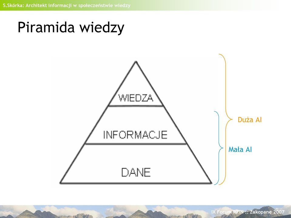 Duża AI