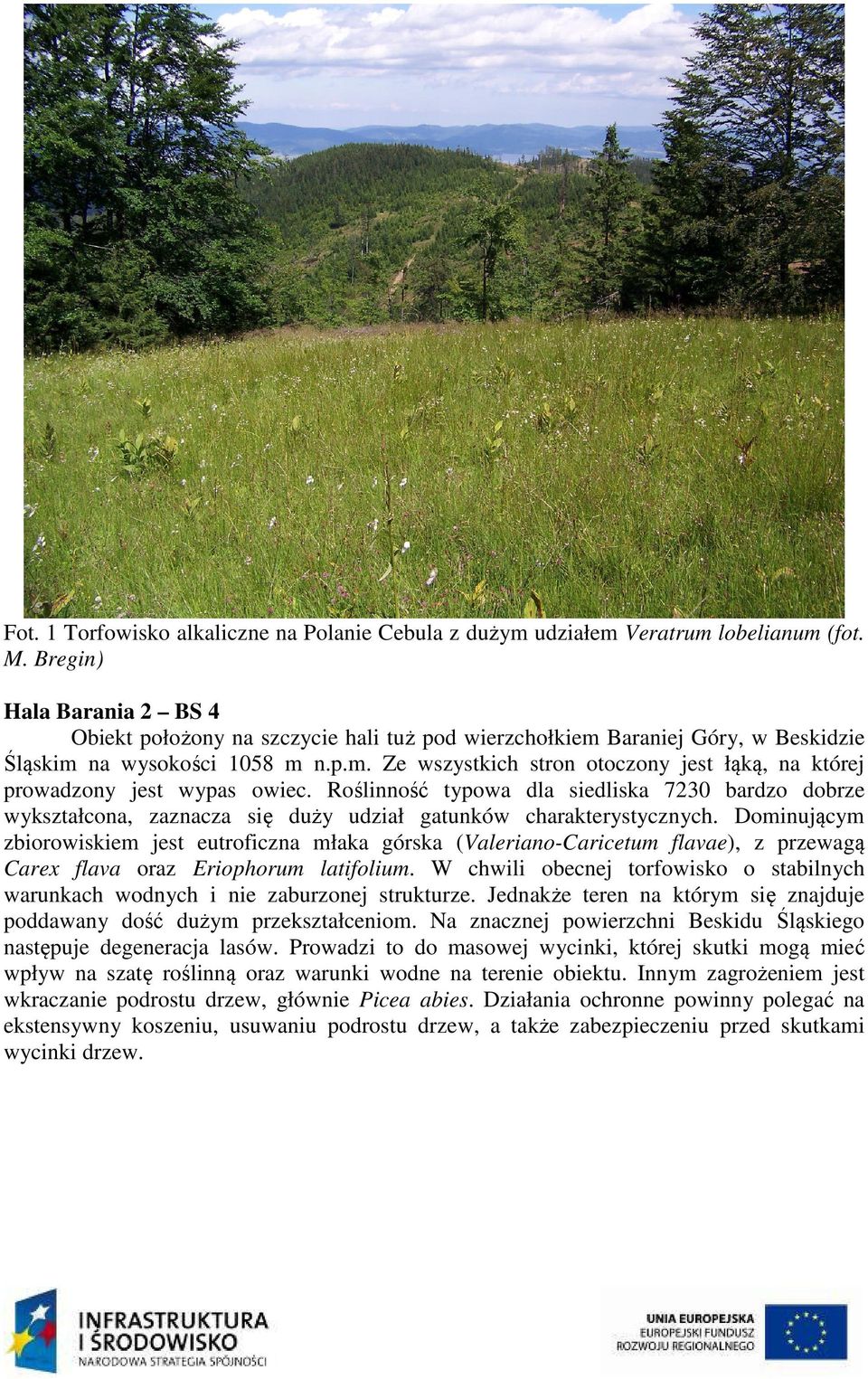 Roślinność typowa dla siedliska 7230 bardzo dobrze wykształcona, zaznacza się duży udział gatunków charakterystycznych.