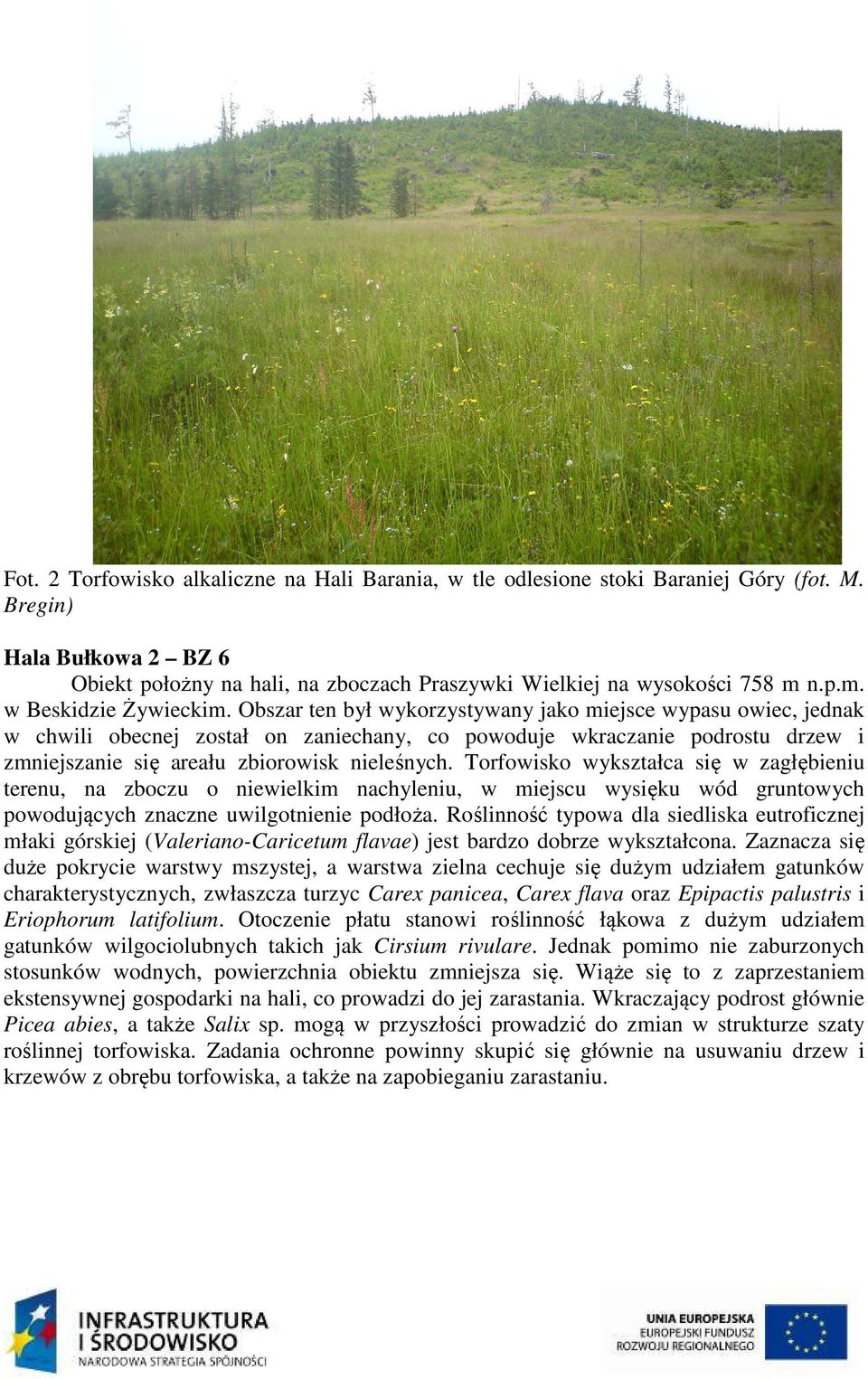 Obszar ten był wykorzystywany jako miejsce wypasu owiec, jednak w chwili obecnej został on zaniechany, co powoduje wkraczanie podrostu drzew i zmniejszanie się areału zbiorowisk nieleśnych.