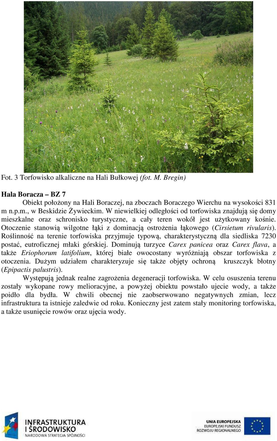 Otoczenie stanowią wilgotne łąki z dominacją ostrożenia łąkowego (Cirsietum rivularis).