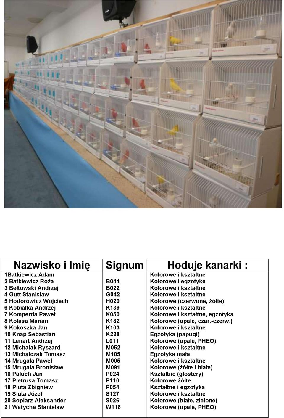 Aleksander 21 Watycha Stanisław B044 B022 G042 H020 K139 K050 K182 K103 K228 L011 M052 M105 M005 M091 P024 P110 P054 S127 S026 W118 Kolorowe i kształtne Kolorowe i egzotykę Kolorowe i kształtne