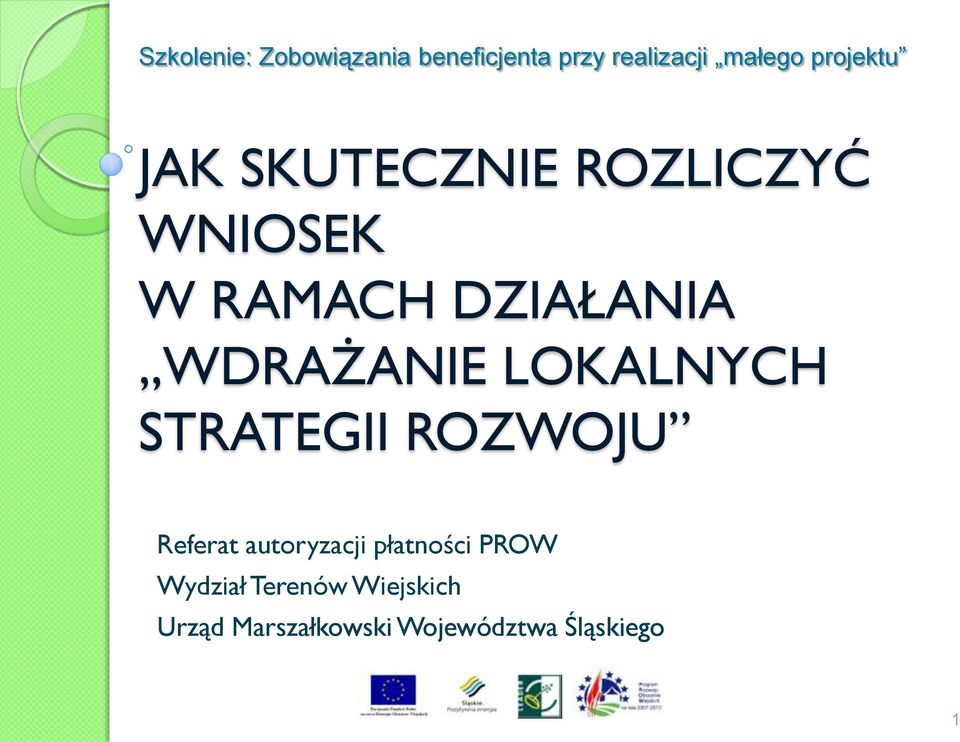 WDRAŻANIE LOKALNYCH STRATEGII ROZWOJU Referat autoryzacji