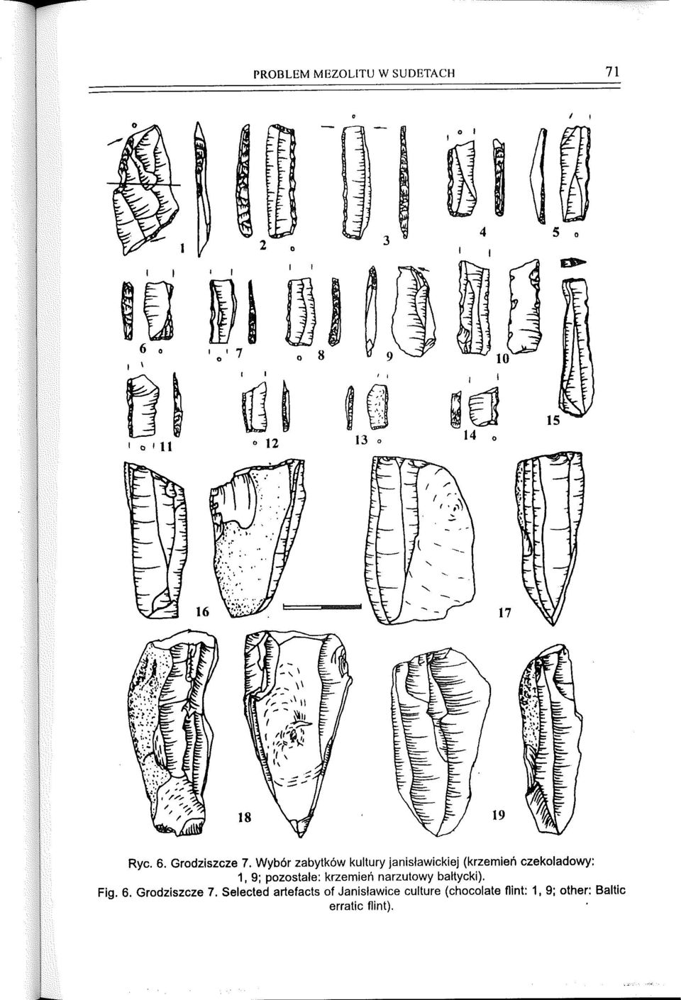 Wybór zabytków kultury janis/awickiej (krzemień czekoladowy: 1, 9; pozostałe: krzemień