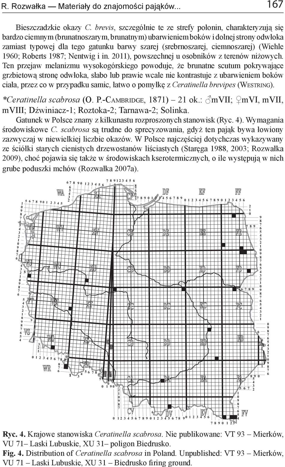 (srebrnoszarej, ciemnoszarej) (Wiehle ; Roberts ; Nentwig i in. ), powszechnej u osobników z terenów niżowych.