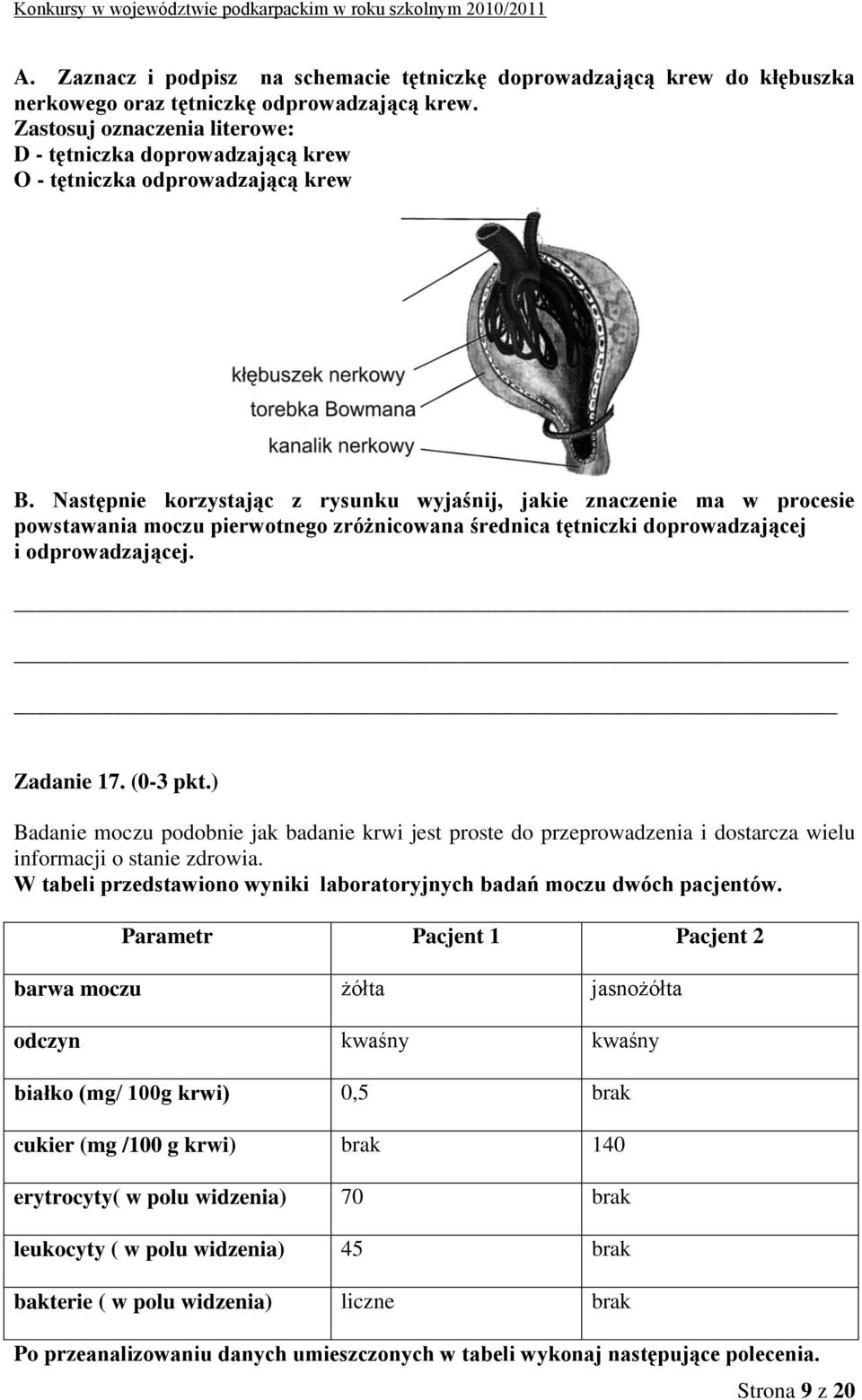 Następnie korzystając z rysunku wyjaśnij, jakie znaczenie ma w procesie powstawania moczu pierwotnego zróżnicowana średnica tętniczki doprowadzającej i odprowadzającej. Zadanie 17. (0-3 pkt.