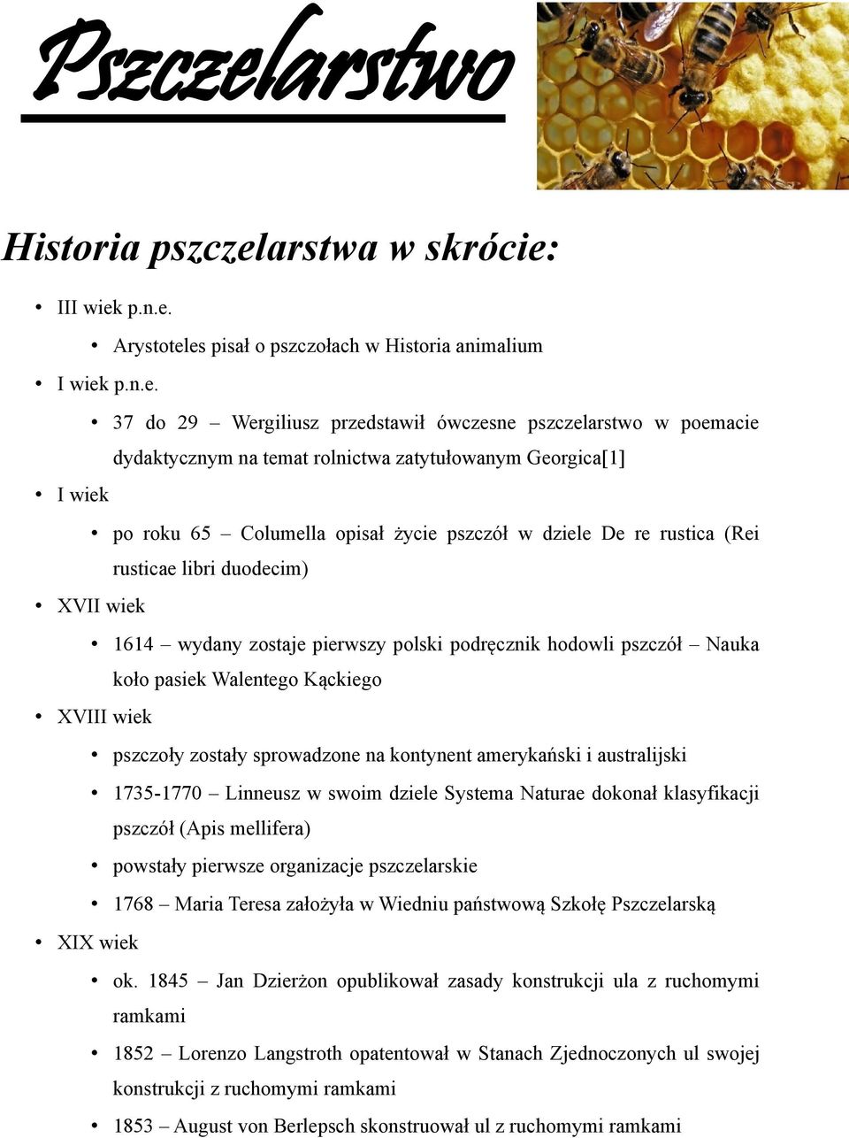 arstwa w skrócie:
