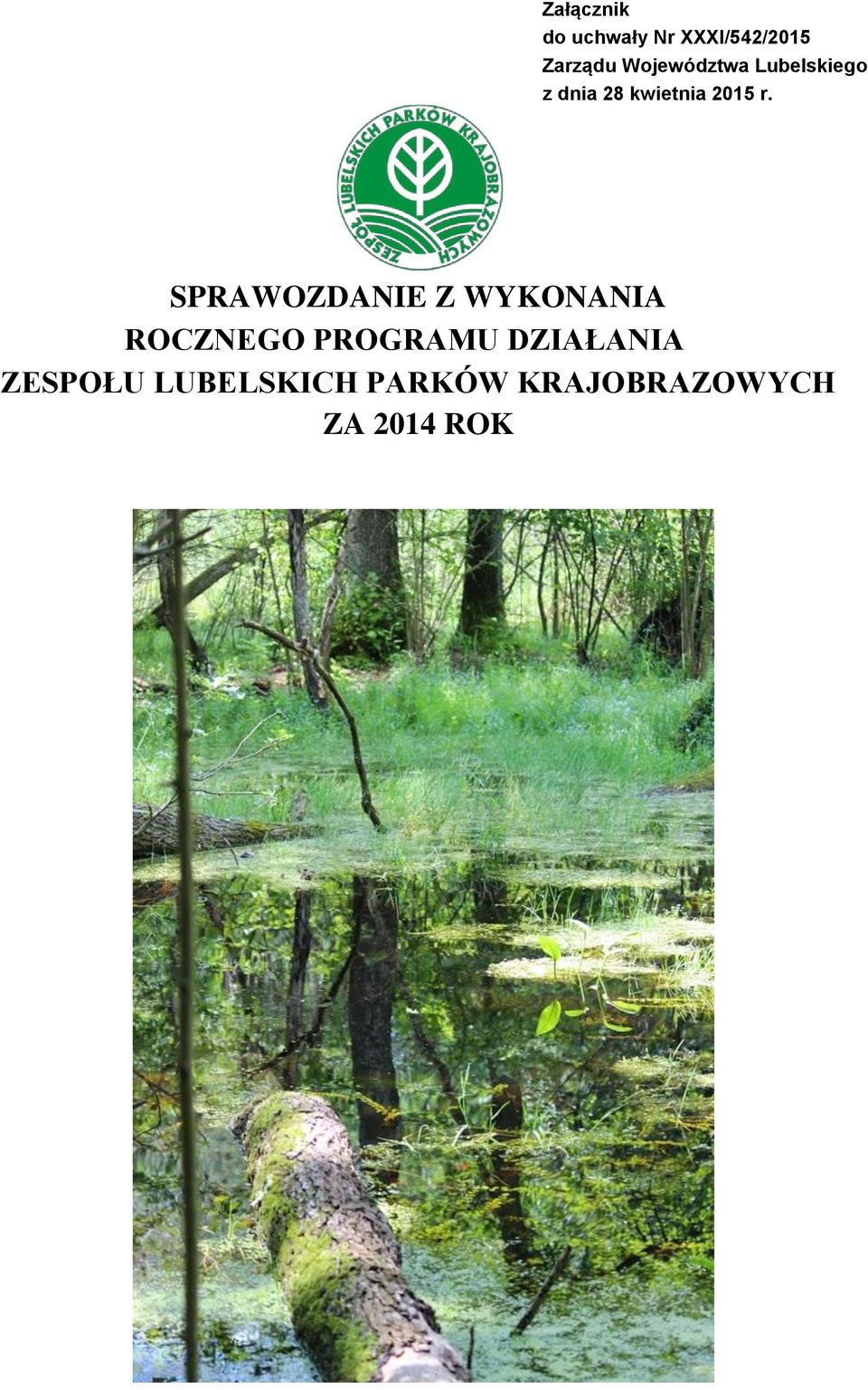 WYKONANIA ROCZNEGO PROGRAMU DZIAŁANIA ZESPOŁU