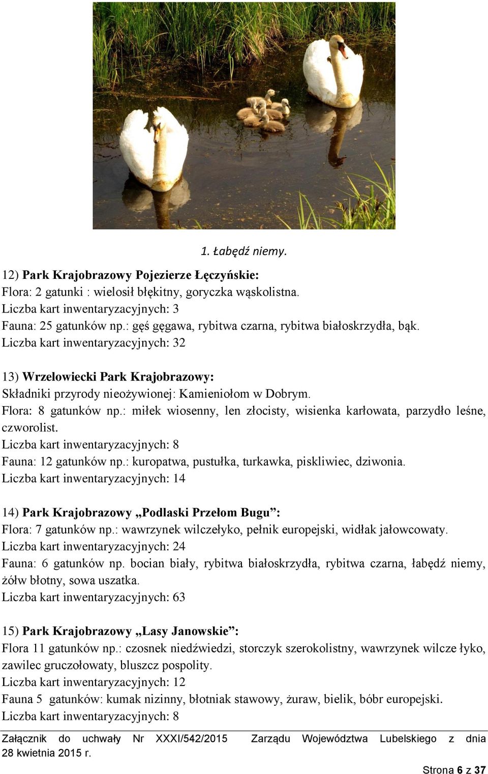 Flora: 8 gatunków np.: miłek wiosenny, len złocisty, wisienka karłowata, parzydło leśne, czworolist. Liczba kart inwentaryzacyjnych: 8 Fauna: 12 gatunków np.