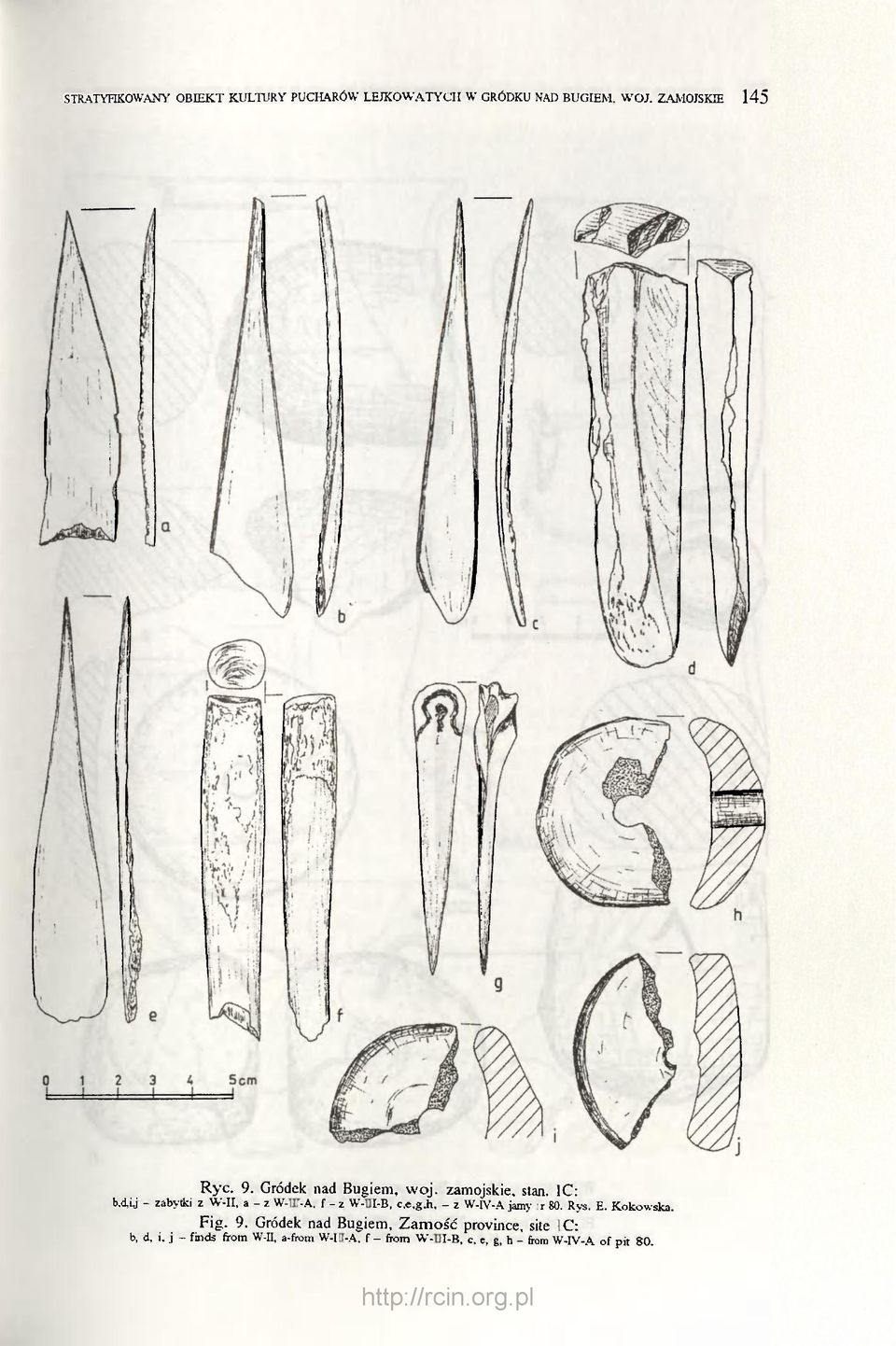 f - z W-III-B, c.e,g.h, - z W-IV-A jamy nr 80. Rys. E. Kokowska. Fig. 9.