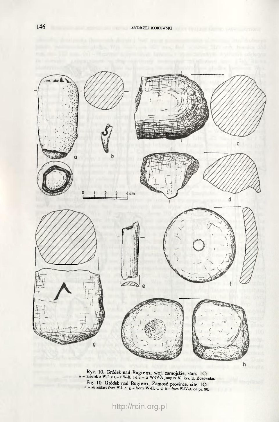 Rys. E. Kokowska. Fig. 10.